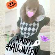 ヒメ日記 2025/10/31 18:30 投稿 レイ 石庭