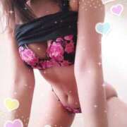 ヒメ日記 2025/11/22 16:50 投稿 レイ 石庭