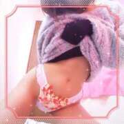 ヒメ日記 2025/11/27 07:58 投稿 レイ 石庭