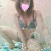 ヒメ日記 2025/12/13 17:00 投稿 レイ 石庭