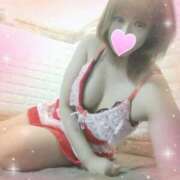 ヒメ日記 2025/12/16 00:00 投稿 レイ 石庭