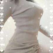 ヒメ日記 2025/12/20 08:01 投稿 レイ 石庭