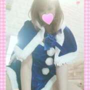 ヒメ日記 2025/12/20 10:50 投稿 レイ 石庭