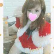 ヒメ日記 2025/12/21 15:30 投稿 レイ 石庭