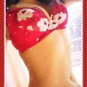 ヒメ日記 2025/12/27 12:00 投稿 レイ 石庭