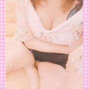 ヒメ日記 2025/12/29 13:10 投稿 レイ 石庭