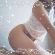 ヒメ日記 2025/12/30 10:20 投稿 レイ 石庭