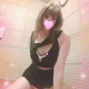 ヒメ日記 2026/01/12 09:20 投稿 レイ 石庭