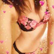 ヒメ日記 2026/02/07 20:00 投稿 レイ 石庭