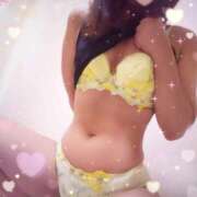 ヒメ日記 2026/02/28 18:00 投稿 レイ 石庭