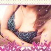 ヒメ日記 2026/04/25 11:00 投稿 レイ 石庭