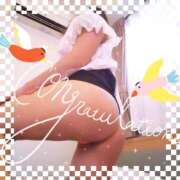 ヒメ日記 2026/09/09 20:20 投稿 レイ 石庭
