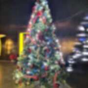 ヒメ日記 2024/12/24 09:13 投稿 NATSUNA（なつな） UTAKATA