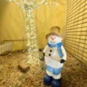 ヒメ日記 2025/02/14 02:13 投稿 NATSUNA（なつな） UTAKATA