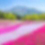 ヒメ日記 2025/04/02 12:04 投稿 NATSUNA（なつな） UTAKATA