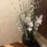 ヒメ日記 2025/04/05 17:13 投稿 NATSUNA（なつな） UTAKATA