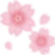 ヒメ日記 2025/05/01 12:06 投稿 NATSUNA（なつな） UTAKATA