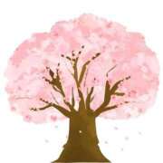 ヒメ日記 2026/04/24 03:33 投稿 NATSUNA（なつな） UTAKATA