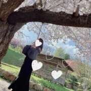 ヒメ日記 2026/06/14 12:04 投稿 NATSUNA（なつな） UTAKATA