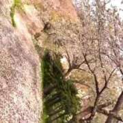 ヒメ日記 2026/06/20 08:14 投稿 NATSUNA（なつな） UTAKATA