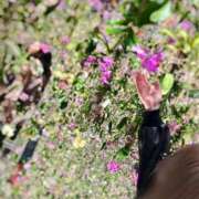 ヒメ日記 2026/08/01 20:53 投稿 NATSUNA（なつな） UTAKATA