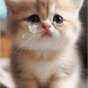 ヒメ日記 2025/06/02 10:54 投稿 なお 川越ぷよステーション