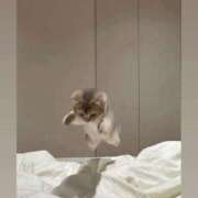 ヒメ日記 2025/06/26 11:43 投稿 なお 川越ぷよステーション