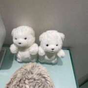 ヒメ日記 2025/09/28 23:13 投稿 なお 川越ぷよステーション