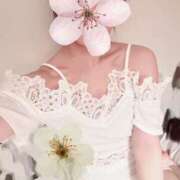 ヒメ日記 2025/08/20 20:00 投稿 ほのか Felice(フェリス)