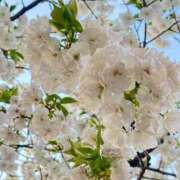 ヒメ日記 2025/05/14 01:16 投稿 ホノカ マテリアル