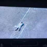 まりな 🍀*゜ 大奥 梅田店