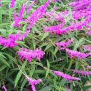 ヒメ日記 2025/10/17 09:14 投稿 司 熟女の風俗最終章 横浜本店