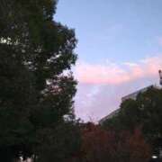 ヒメ日記 2025/11/24 16:44 投稿 司 熟女の風俗最終章 横浜本店