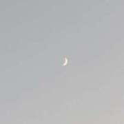 ヒメ日記 2025/11/28 18:06 投稿 司 熟女の風俗最終章 横浜本店