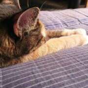 司 ゴメン…寝…🙇🙇🙇 熟女の風俗最終章 横浜本店