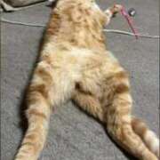 ヒメ日記 2025/12/30 16:54 投稿 司 熟女の風俗最終章 横浜本店