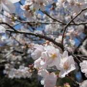 ヒメ日記 2026/04/03 07:54 投稿 司 熟女の風俗最終章 横浜本店