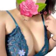 ヒメ日記 2025/12/28 10:22 投稿 じゅり 吉祥寺角海老