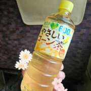 ヒメ日記 2025/04/10 13:50 投稿 ゆきな 逆電車ごっこ ～GLAMOROUS TRAIN～