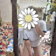 ヒメ日記 2026/05/08 12:20 投稿 ゆきな 逆電車ごっこ ～GLAMOROUS TRAIN～