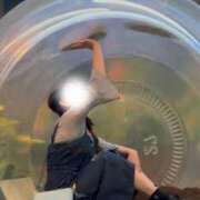 ヒメ日記 2026/04/10 12:32 投稿 のぞみ 快楽夫人