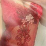 ヒメ日記 2024/12/11 14:18 投稿 手塚塔子(とうこ) 東京不倫～とうきょうふりん～