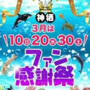 ヒメ日記 2024/03/30 08:56 投稿 じゅん モアグループ神栖人妻花壇