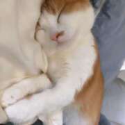 ヒメ日記 2025/02/11 19:40 投稿 いろは・SP 西川口ティアラ