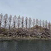 ヒメ日記 2025/04/04 10:31 投稿 上條ひかり リップスティック