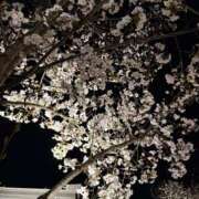 ヒメ日記 2025/04/05 10:25 投稿 上條ひかり リップスティック