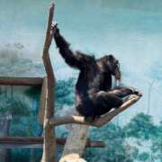 ヒメ日記 2025/06/04 18:20 投稿 上條ひかり リップスティック