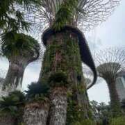 ヒメ日記 2025/12/30 09:42 投稿 上條ひかり リップスティック