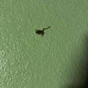 ヒメ日記 2026/10/10 07:22 投稿 まお G-SPOT