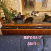 ヒメ日記 2026/01/03 13:13 投稿 さゆり 恋するセレブ 立川店